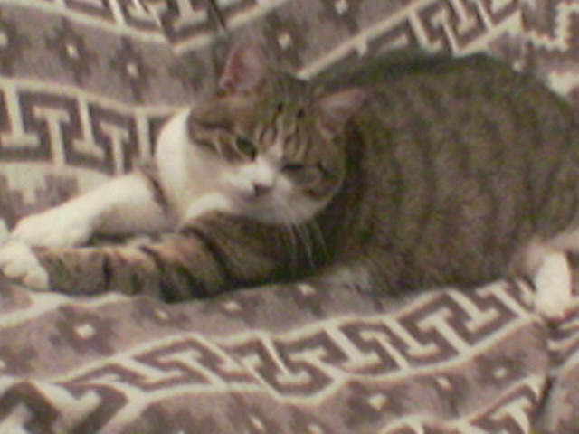 8.jpg (640x480, 170Kb)