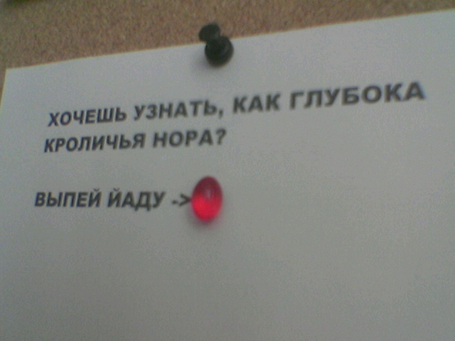 28.jpg (640x480, 154Kb)