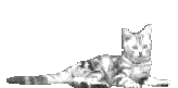 47.gif (164x81, 80Kb)