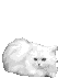 854536_620824.gif (53x71, 55Kb)