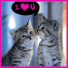 catslove.gif (100x100, 9Kb)