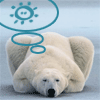 bear.gif (100x100, 10Kb)
