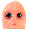 bezz_imeni.gif (100x100, 17Kb)