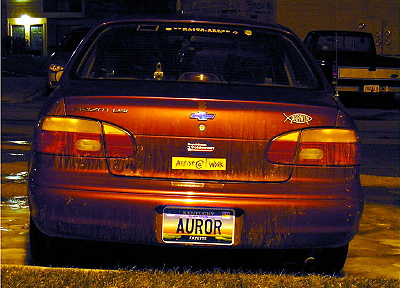 auror2.jpg (400x288, 162Kb)
