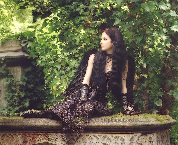 6080444_Goth_Girl__Gothic_Fairy_3_black_feathers.jpg (612x500, 123Kb)