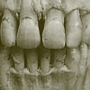 Teeth.gif (100x100, 11Kb)