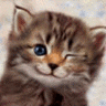 45oi.gif (96x96, 8Kb)