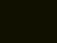 903.gif (200x150, 229Kb)