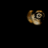 2223-avatar.gif (100x100, 62Kb)