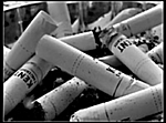 avatar34_38.gif (150x111, 14Kb)