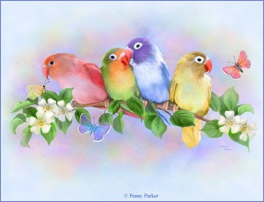 RainbowOfLorikeets.jpg (528x404, 35Kb)