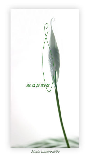 6291366_s8marta.jpg (345x610, 21Kb)
