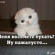 4384985_Vozmite_menya_buhat.jpg (180x180, 10Kb)