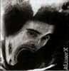 6839160.gif (97x100, 31Kb)