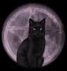 4319168_3881651_57.gif (95x100, 41Kb)