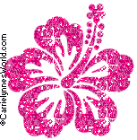 4775818_hibiscus2.gif (153x156, 23Kb)