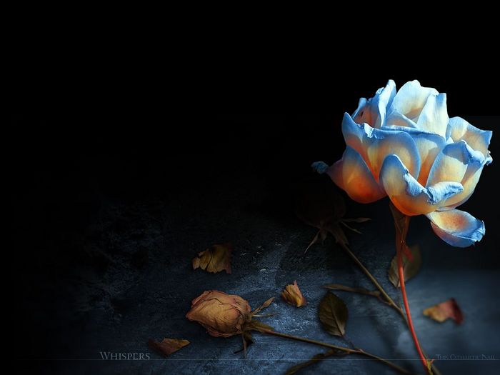 u22_2042.jpg (700x525, 31Kb)