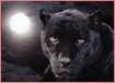 2222222222222.gif (105x76, 8Kb)
