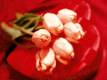 small_20_429.gif (151x113, 12Kb)