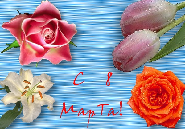 C 8 mapta.JPG (600x420, 135Kb)