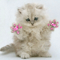 .gif (120x120, 19Kb)