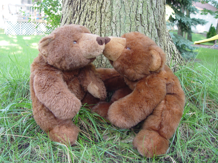 DSC04844-2.jpg (700x525, 521Kb)