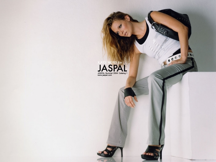jaspal8.jpg (700x525, 132Kb)