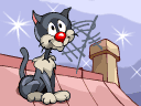 Crazy cat.gif (128x96, 16Kb)