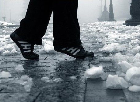 00000060.jpg (456x332, 43Kb)
