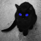 1111111111111.gif (145x145, 19Kb)