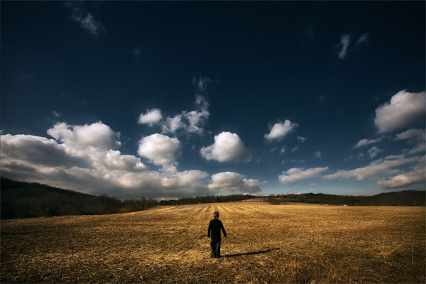 alone in the field.jpg (600x400, 44Kb)