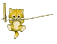 cat44.gif (190x146, 20Kb)