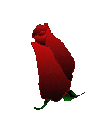 ygjuy.gif (110x114, 29Kb)