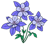 6353694_flowers24.gif (160x145, 239Kb)