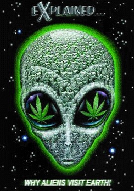 5324501_5309748_73.jpg (270x384, 49Kb)