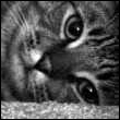 4139391_911366_841703.jpg (110x110, 9Kb)