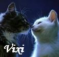 cats love 2.JPG (115x111, 3Kb)