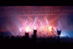 tara_lp (73).gif (150x102, 125Kb)