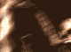 tara_lp (32).gif (80x59, 97Kb)