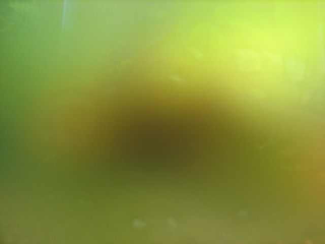 IMG_0027.jpg (640x480, 17Kb)