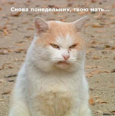 hhhghg.JPG (400x403, 77Kb)