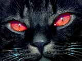 .jpg (160x120, 6Kb)