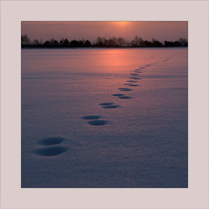 5626281_1264353.jpg (700x700, 150Kb)