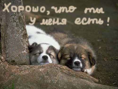 5993509_Novaya_papkaHorosho_chto_tuy_u_menya_est.jpg (500x375, 19Kb)