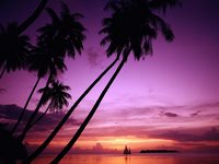 103-200.jpg (200x150, 7Kb)