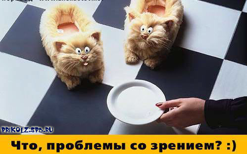 www_prikols_com_ru_25.jpg (499x312, 33Kb)