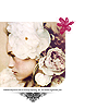 roseveil.png (100x100, 12Kb)