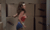 WonderWoman15.gif (100x60, 38Kb)