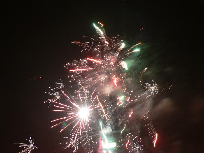 4925576_salut03.jpg (700x525, 65Kb)