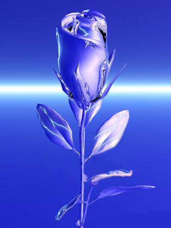 4532325_bluerose.jpg (335x446, 30Kb)